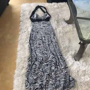 Zebra Dress
